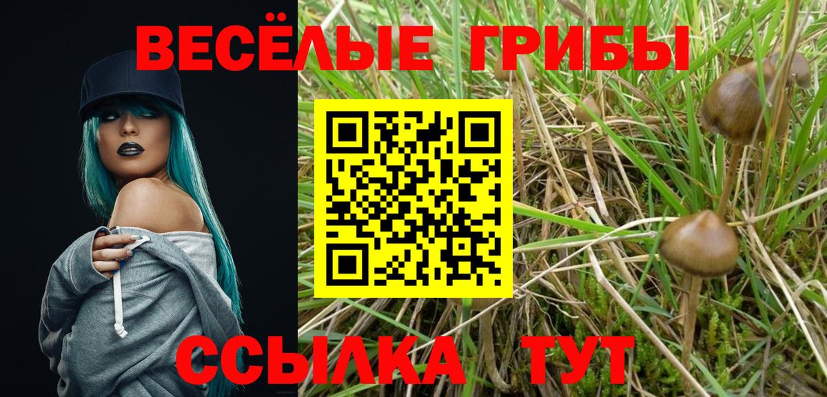 Галлюциногенные грибы мицелий Татарск